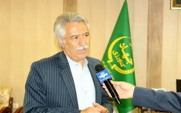 ‍ پیش بینی کاشت بیش از 40 هکتار زعفران در اراضی کشاورزی شهرستان کرمانشاه