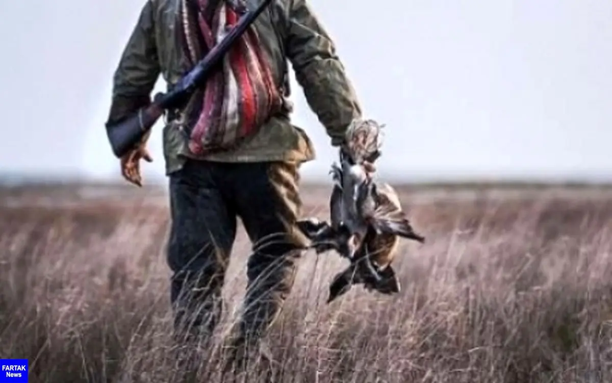 شکار پرندگان در کرمانشاه ممنوع شد
