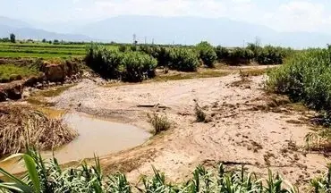 

خسارت ۵۰۰۰ میلیارد ریالی سیلاب اخیر در کرمانشاه 



