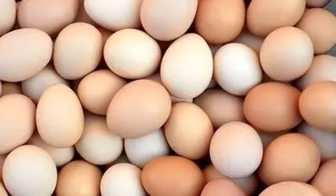 با مصرف تخم مرغ به جنگ آلزایمر بروید