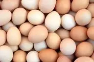 با مصرف تخم مرغ به جنگ آلزایمر بروید