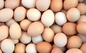 با مصرف تخم مرغ به جنگ آلزایمر بروید