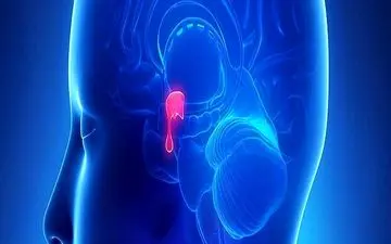 تاثیر کروناویروس بر غده هیپوفیز و بروز اختلال های متابولیکی