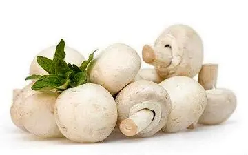 کاهش خطر ابتلا به سرطان با مصرف قارچ