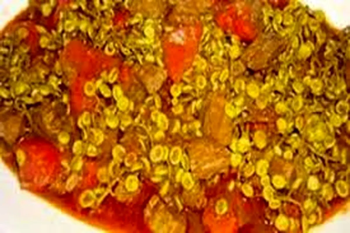 آموزش خورش ونوشک کرمانشاهی!