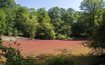 مرداب قرمز، جادوی طبیعت در بهشت زمینی
