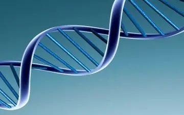 محققان به زودی آزمایش داروی ضد پیری را آغاز می‌کنند