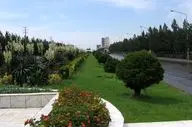 تولید و توزیع ۶۰۰ هزار نشا‌ء گُل‌فصلی در کرمانشاه

