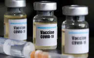  کامران نجف‌زاده از نیویورک زمان حداقلی واکسن کرونا را لو داد!