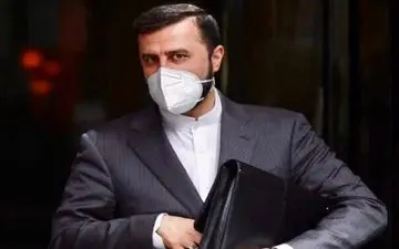 غریب‌آبادی درباره عواقب اقدام غیرسازنده آژانس برمذاکرات برجام هشدارداد
