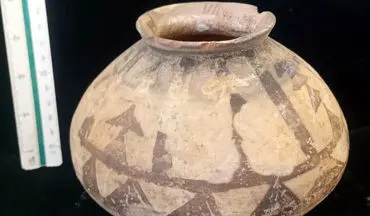 
کشف و ضبط ۱۲ قطعه شی تاریخی در شهرستان جیرفت
