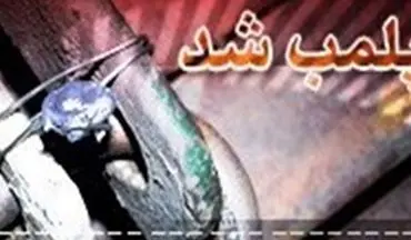 فرمانده انتظامی غرب استان تهران از پلمب کوره ذوب باطری‌های سرقتی در شهرستان قدس خبر داد