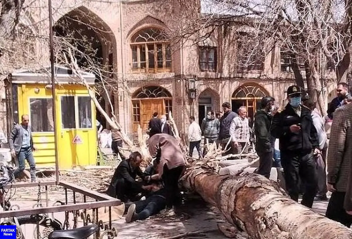 یک درخت روی شهروند تبریزی سقوط کرد