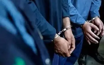 پایان زورگیری‌های سریالی؛ سارق خانی‌آباد در دام پلیس!
