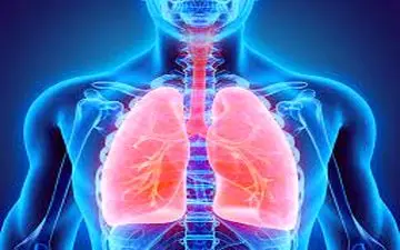 هشدار در این هوای آلوده با تغذیه خوب به ریه‌هایتان کمک کنید 