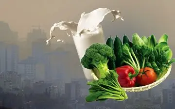 میوه هایی برای مبارزه با آلودگی هوا/ خوراکی‌هایی برای افزایش طول عمر سیگاری‌ها