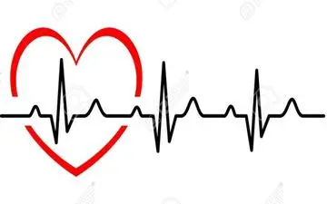 تعداد مناسب ضربان قلب حین ورزش چندتاست؟