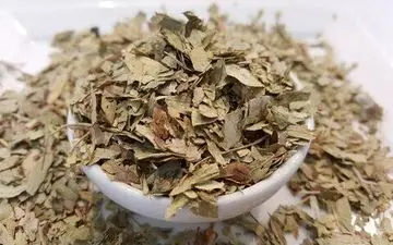 آشنایی با خواص درمانی گیاه «سنا» 