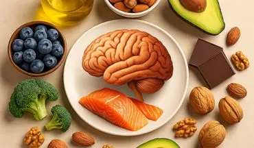بهترین خوراکی‌ها برای تقویت حافظه و تمرکز؛ غذاهایی که مغز شما را شارژ می‌کنند