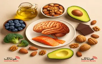 بهترین خوراکی‌ها برای تقویت حافظه و تمرکز؛ غذاهایی که مغز شما را شارژ می‌کنند