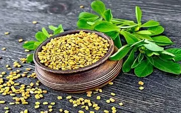 پنج گیاهی که دیابت و قند خون را ضربه فنی می‌کنند 