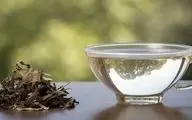 چای و خاصیتی ویژه برای سالمندان
