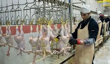 سند، حقوق 70 میلیون تومانی ناظران شرعی واردات مرغ از ترکیه