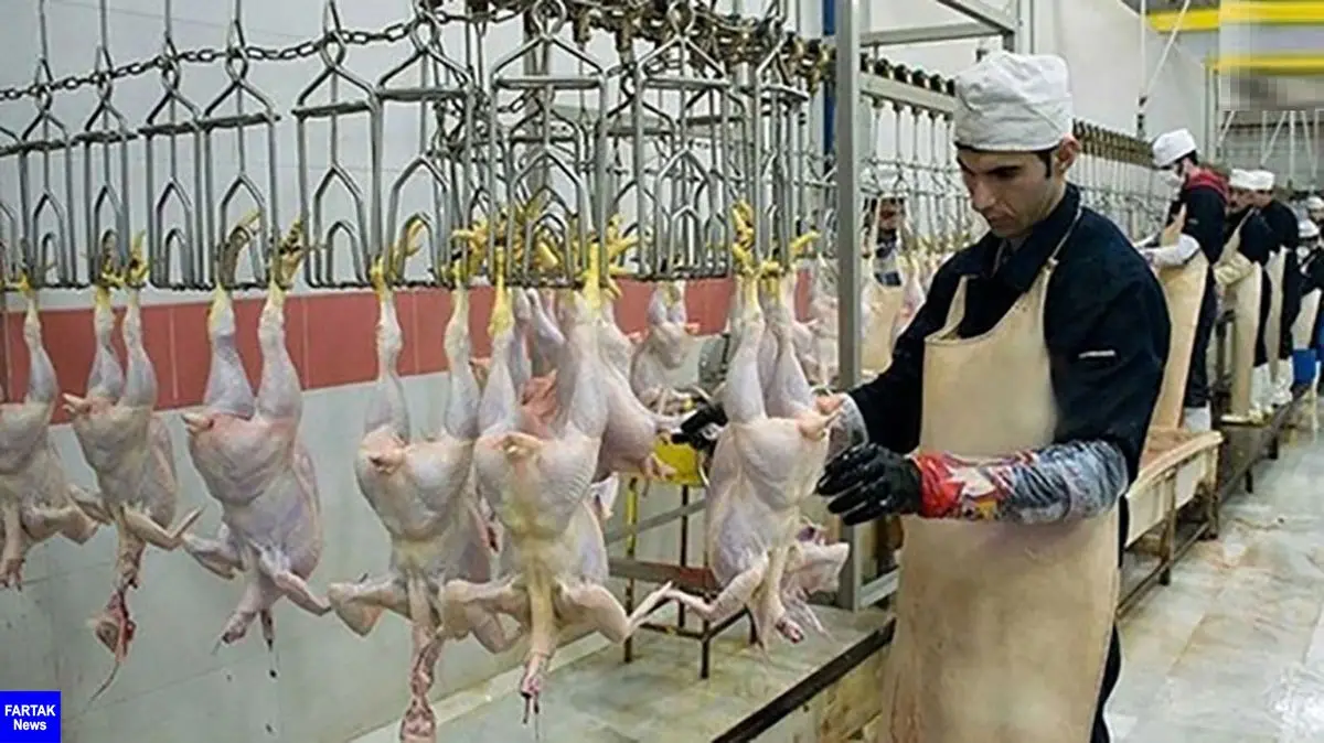 سند، حقوق 70 میلیون تومانی ناظران شرعی واردات مرغ از ترکیه