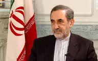 ولایتی: سفارت‌های ایران و عربستان باید فعال شوند