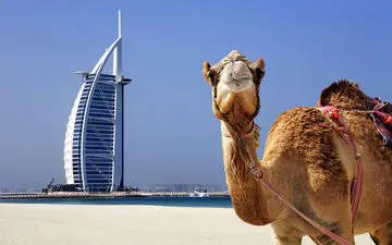 آشنایی با اصطلاحات در فرایند اخذ ویزا دبی