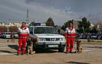 آخرین وضعیت تیم امداد برای یافتن دختر گمشده در جنگل‌های گلستان