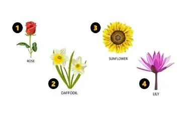 شما یک گل انتخاب کن تا من از ویژگی های شخصیت که خبر نداری بهت بگم!