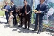 پویش‌‌های کاشت نهال در کرمانشاه به آستانه ۶۰۰۰ اصله رسید