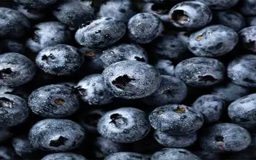 بلوبری، میوه جادویی برای آب کردن شکم