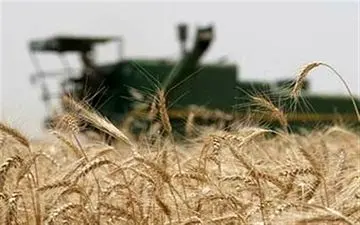 خرید قیمت تضمینی محصولات کشاورزی تداوم دارد