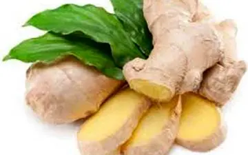 خواص جادویی زنجبیل برای مردان