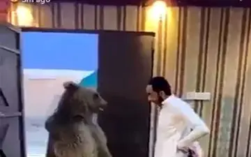 زورآزمایی شهروند عراقی با خرس غول‌پیکر! +فیلم 