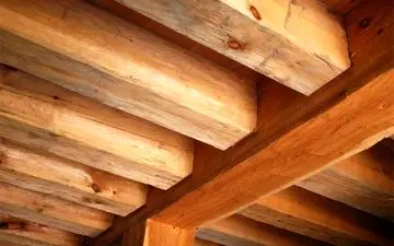 
۴ تن چوب وذغال بلوط قاچاق کشف شد
