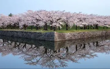  عکس منتخب نشنال جئوگرافیک | قرینگی