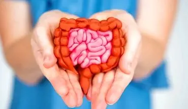 دانستنی هایی درباره رابطه روده و سیستم ایمنی بدن
