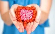 دانستنی هایی درباره رابطه روده و سیستم ایمنی بدن