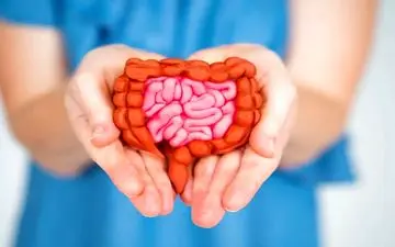 دانستنی هایی درباره رابطه روده و سیستم ایمنی بدن