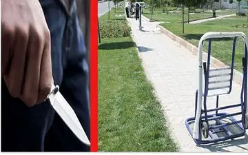 چاقوکشی وحشت آور در پارک / مردم به جای تفریح ترسیدند