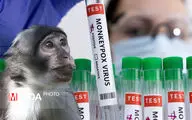 آبله میمونی سلامت جهان را تهدید می کند؟