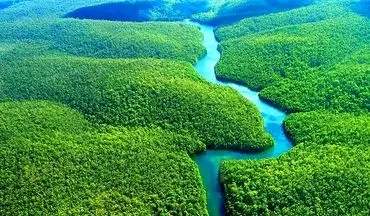 راهنمای سفر به جنگل های آمازون