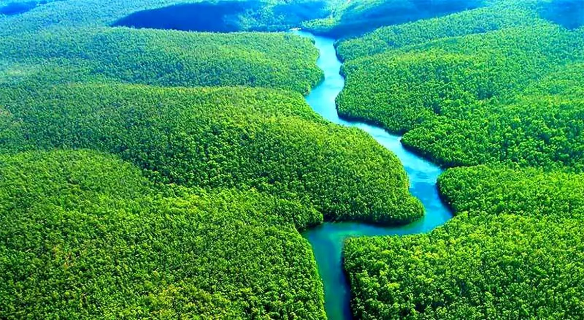 راهنمای سفر به جنگل های آمازون