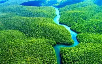 راهنمای سفر به جنگل های آمازون