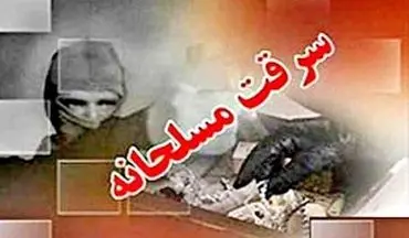 جزئیات سرقت هولناک مسلحانه از منزل مسکونی در شمال تهران + فیلم 