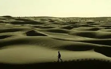  هفته‌ای پر از جایزه‌های جهانی برای سینمای ایران