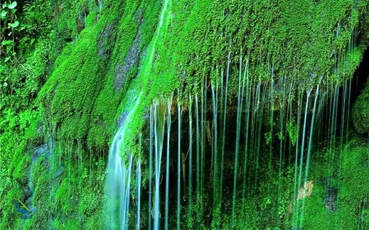بزرگ ترین آبشار خزه ای ایران کجاست؟